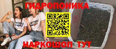 spice Кимры