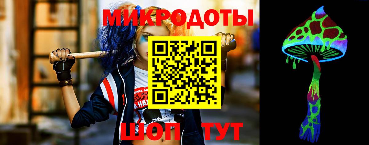 Галлюциногенные грибы Psilocybe Чита